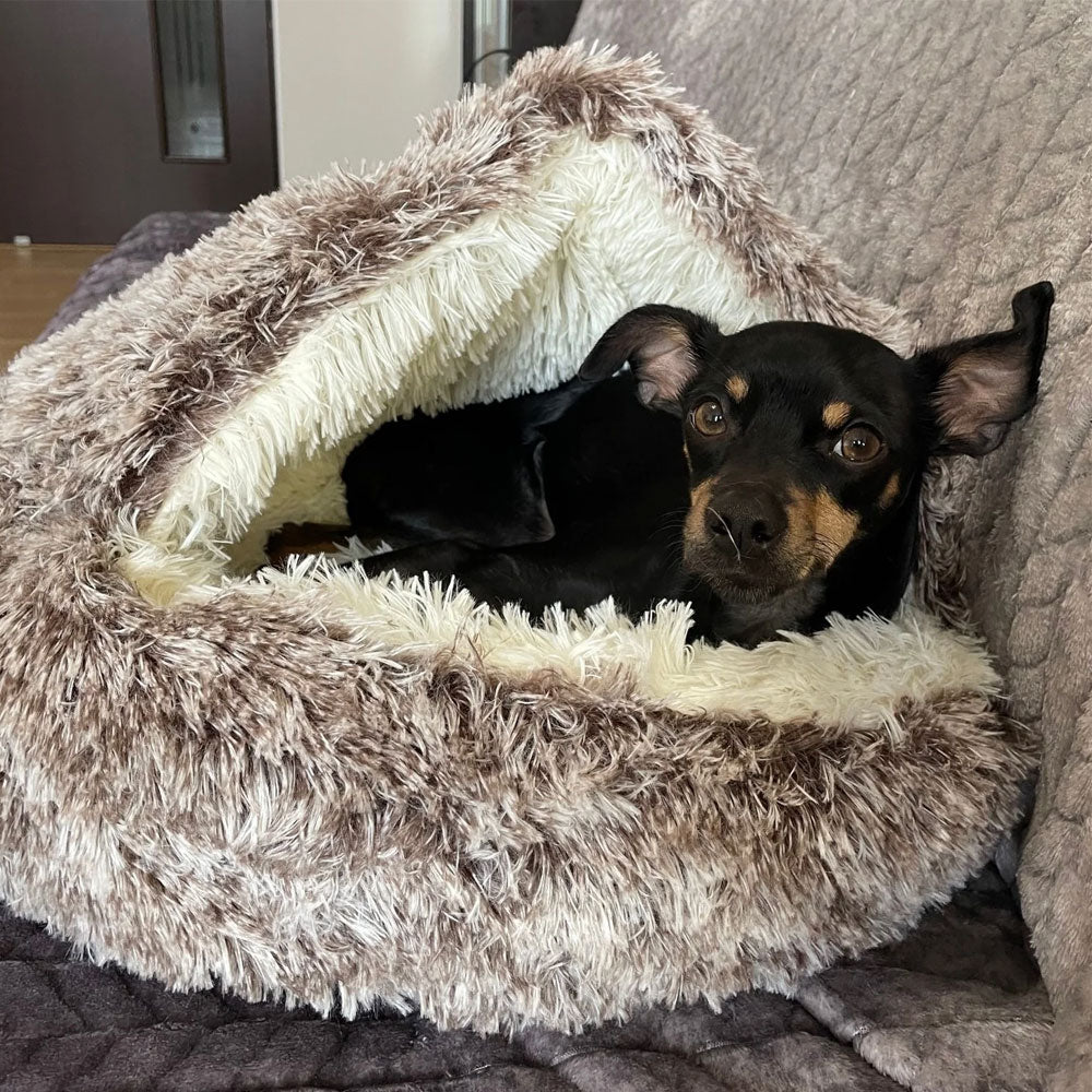 PetBed | Premium Huisdierenbed voor Comfort, Geborgenheid en Ontspanning
