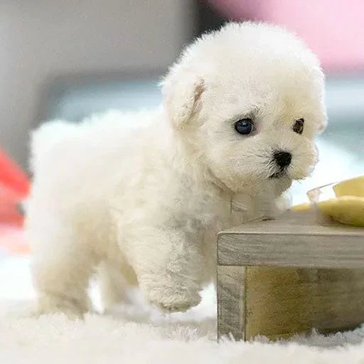 Can de peluche interactivo – movementos realistas con pel suave e sensores de reacción