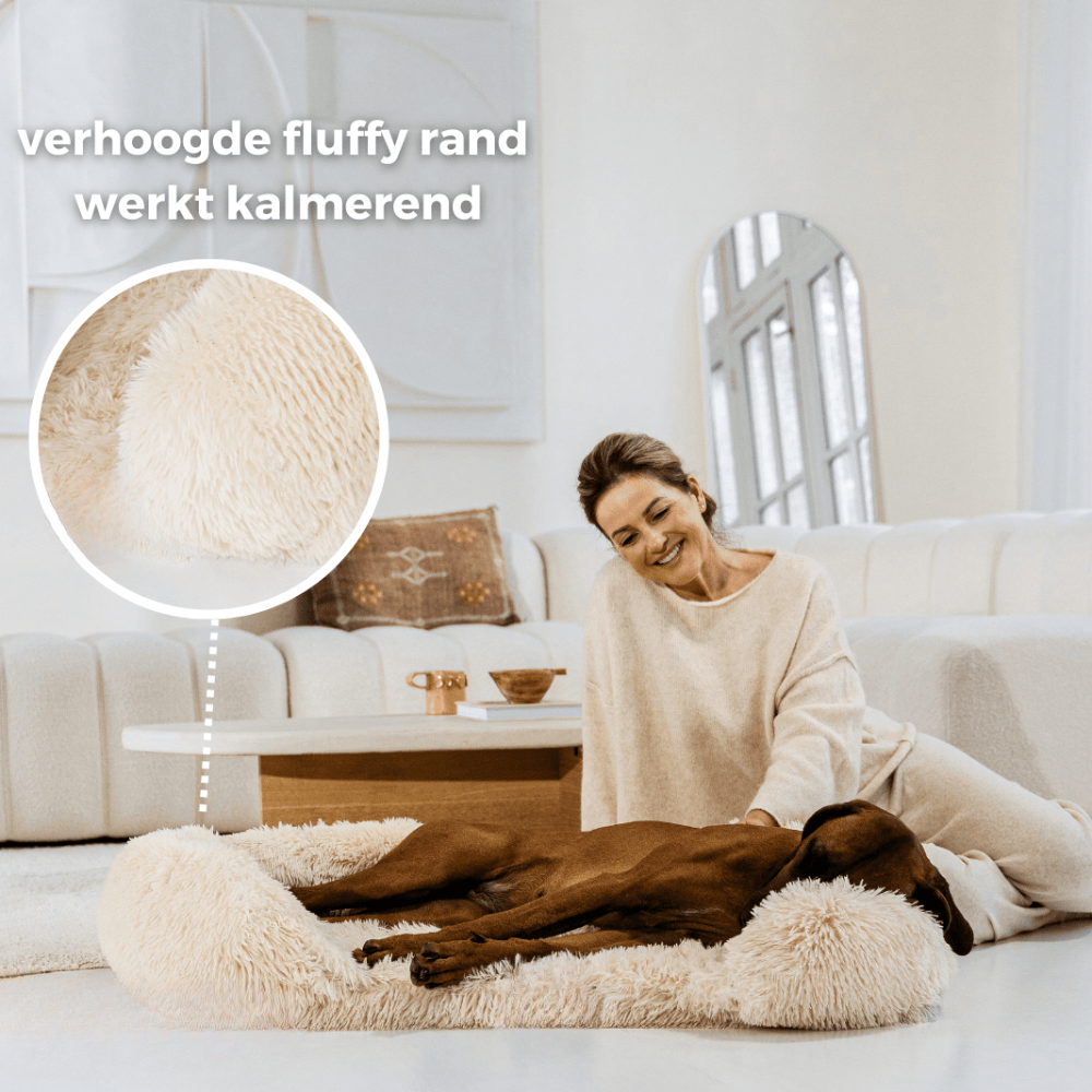 Revalki SupportivePaws | Ergonomisches Hundebett für mehr Unterstützung