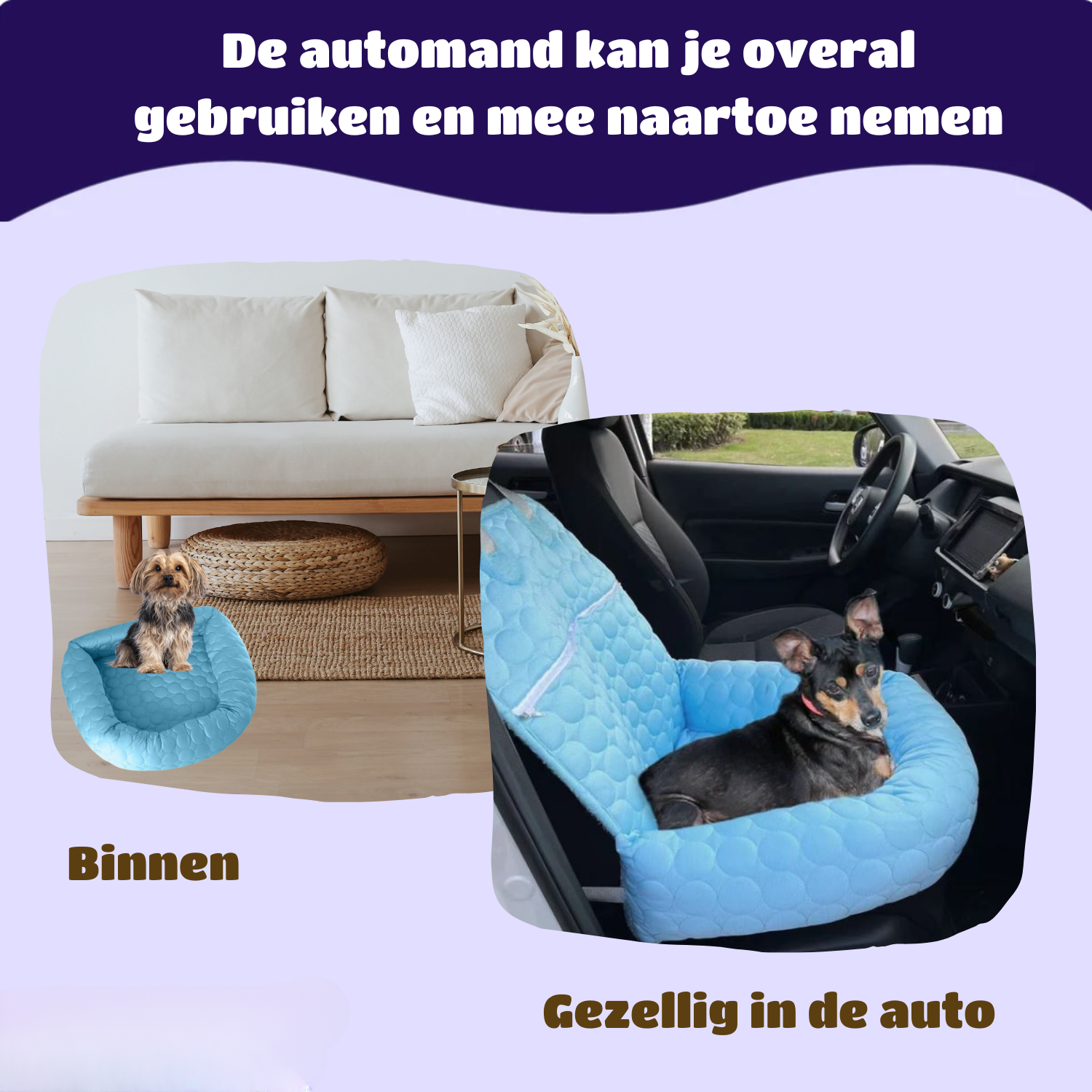 Revalki Kühlkorb | Kühlkorb fürs Auto (4-mal effektiver)