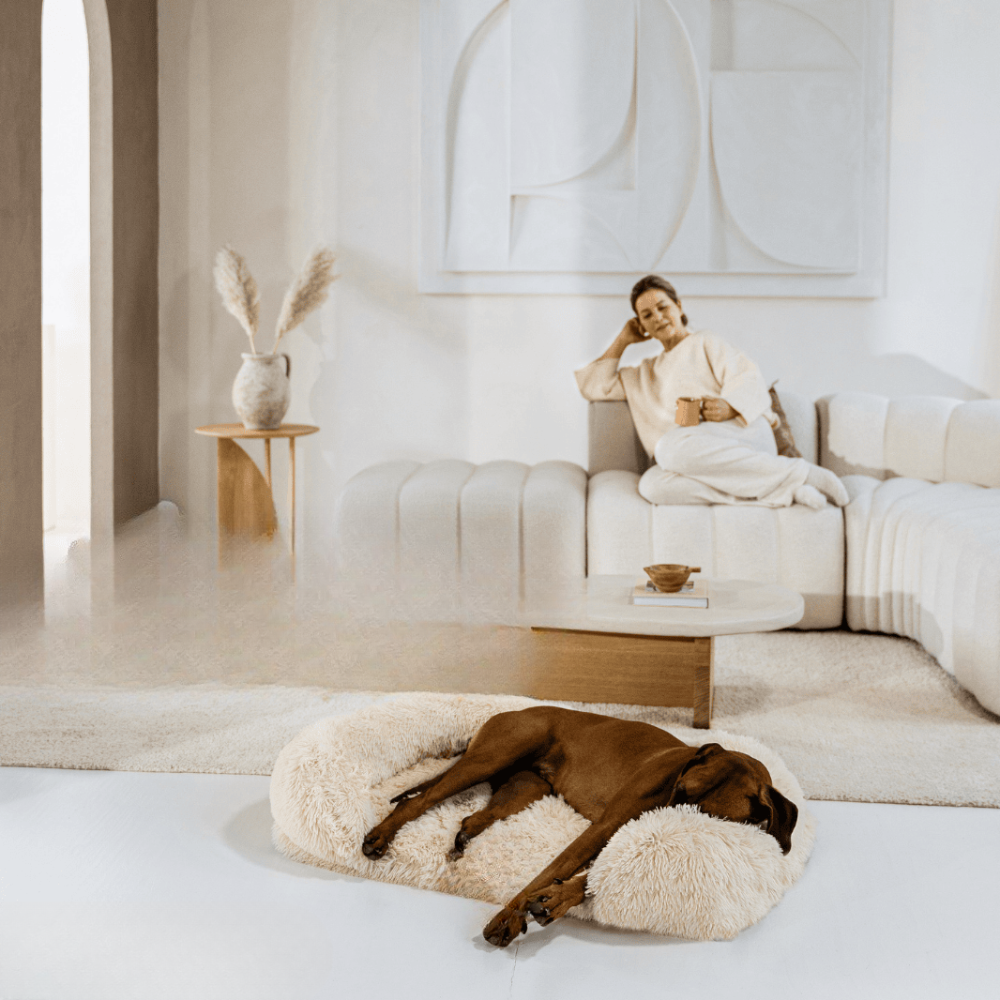 Revalki SupportivePaws | Ergonomisches Hundebett für mehr Unterstützung