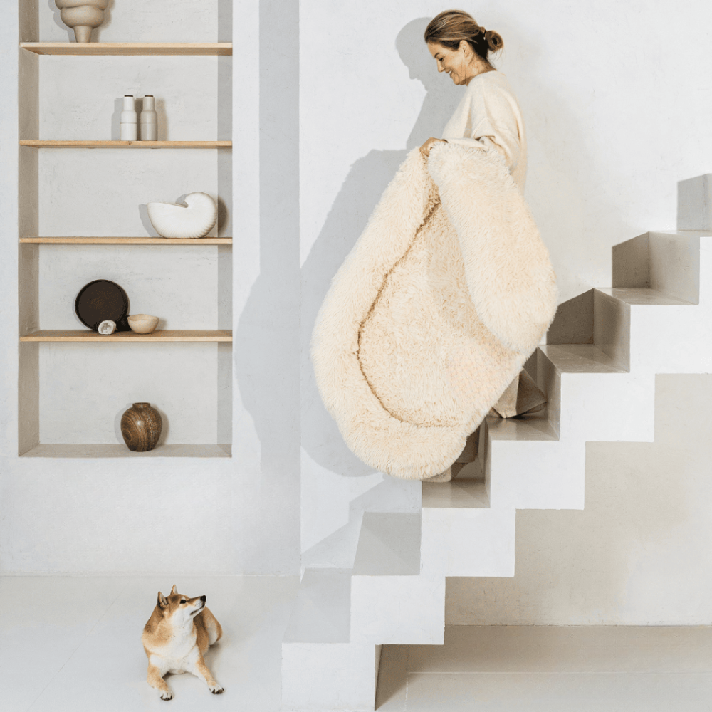 Revalki SupportivePaws | Ergonomisches Hundebett für mehr Unterstützung