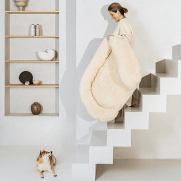 Revalki SupportivePaws | Ergonomisches Hundebett für mehr Unterstützung
