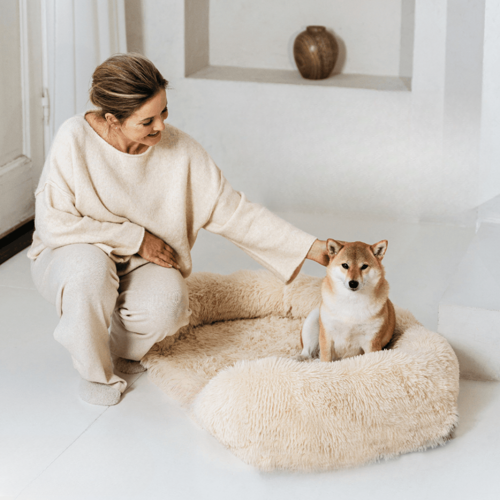 Revalki SupportivePaws | Ergonomisches Hundebett für mehr Unterstützung