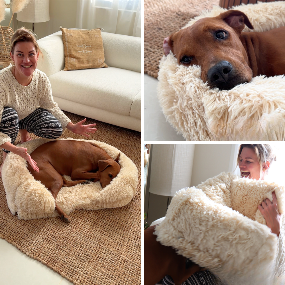Revalki SupportivePaws | Ergonomisches Hundebett für mehr Unterstützung