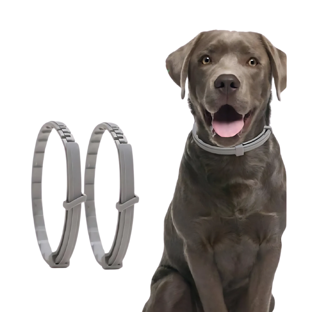 Tick collar for Dog & Cat – VitaPaw | Adjustable & Waterproof without Chemicals