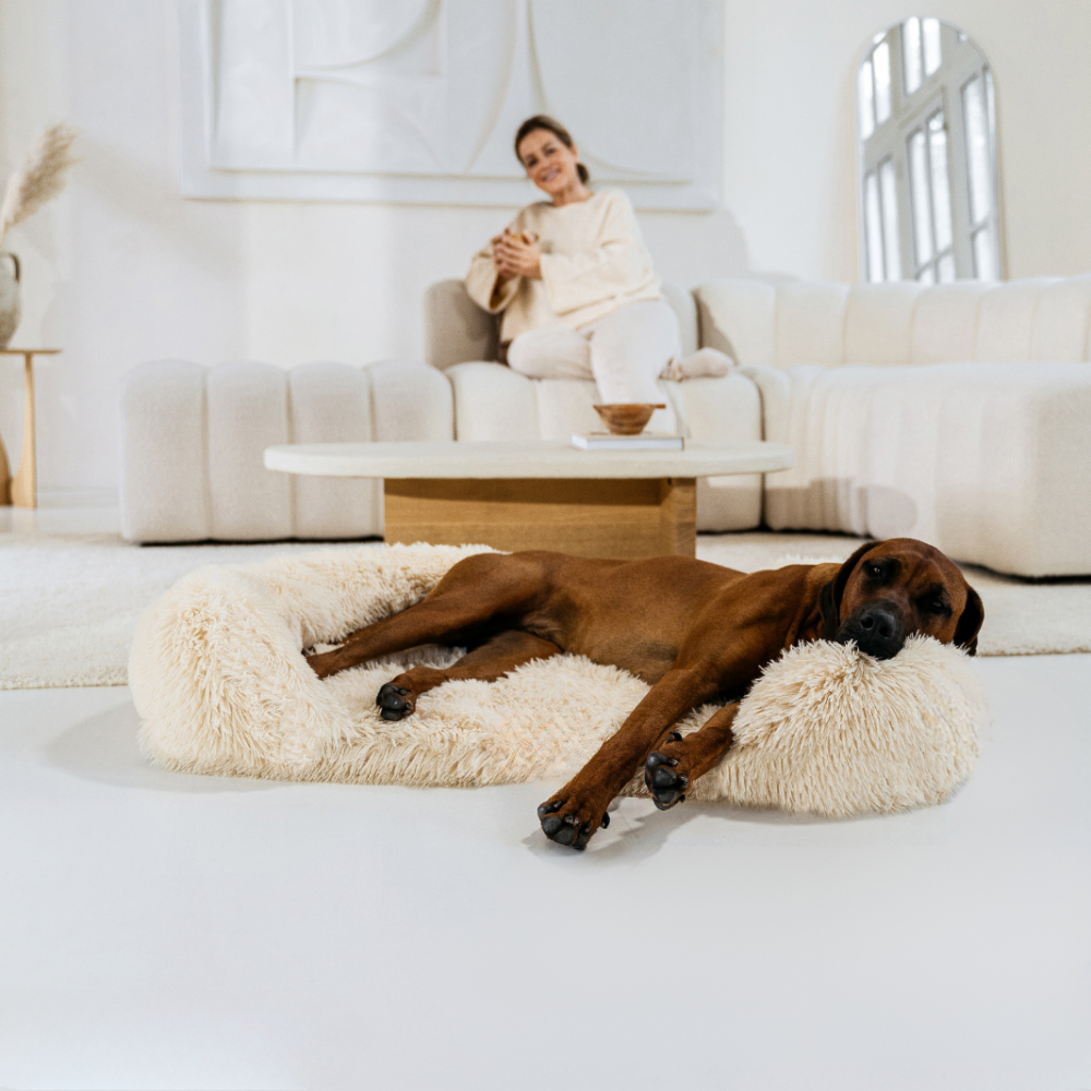 Revalki SupportivePaws | Ergonomisches Hundebett für mehr Unterstützung