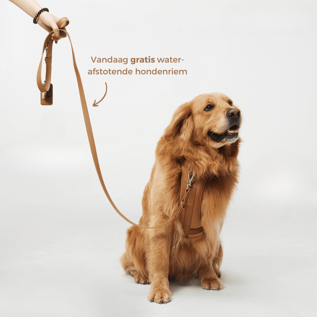 Revalki Hondentuigje | Harnas Wandel Set (Inclusief Riem en Poepzakjes Drager)