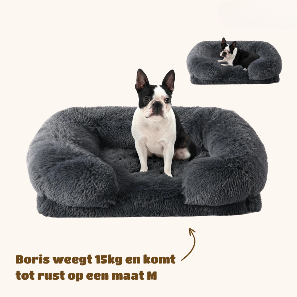 Revalki SupportivePaws | Ergonomisches Hundebett für mehr Unterstützung