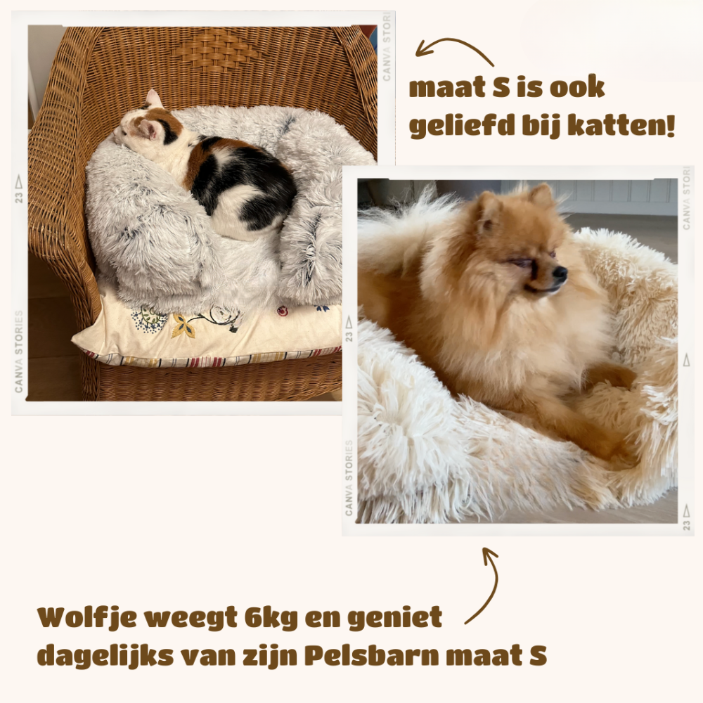 Revalki SupportivePaws | Ergonomisches Hundebett für mehr Unterstützung