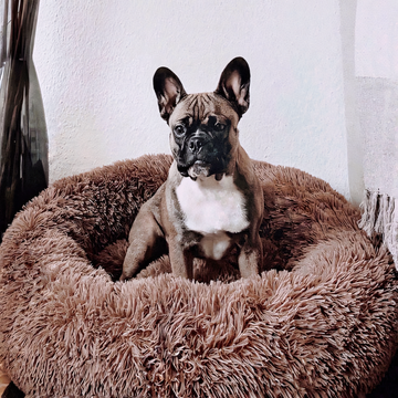 ComfyCove | Bequemes Hundebett für ultimativen Komfort und Geborgenheit