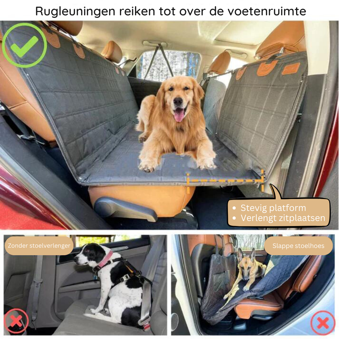 ComfortCarrier | Waar autobescherming en comfort voor je hond samenkomen | +Veilige hondenriem 5