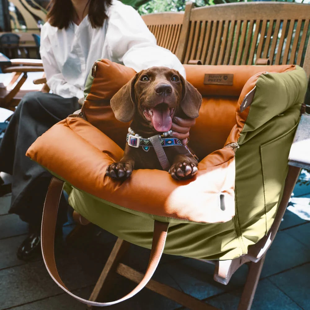 Comfortable Dog Car Seat - PawLuxury 4