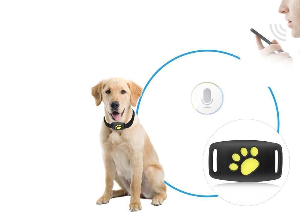 Rastreador GPS para Perros y Gatos – Diseño Compacto, Ubicación en Vivo y Seguimiento por Aplicación