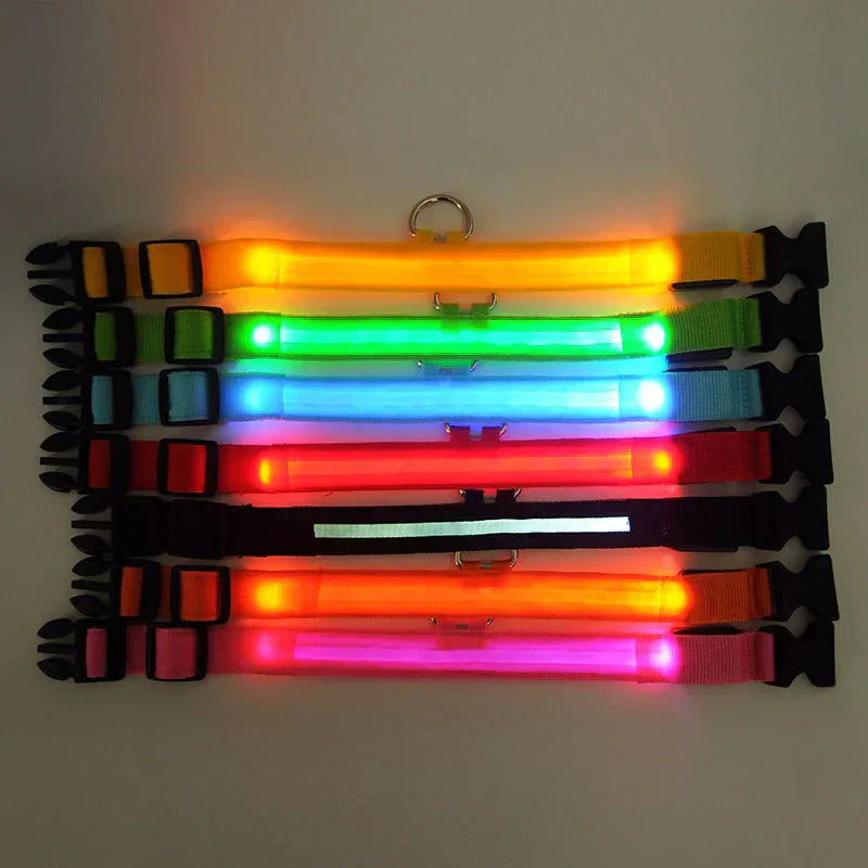 Revalki GlowPets | LED-Halsband