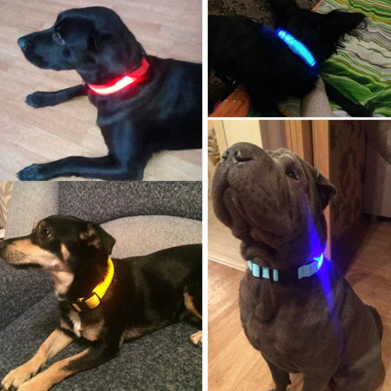 Revalki GlowPets | LED-Halsband