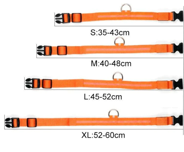 Revalki GlowPets | LED-Halsband