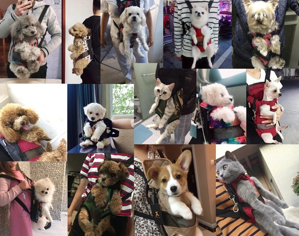 Haustiertrage – PawVentura