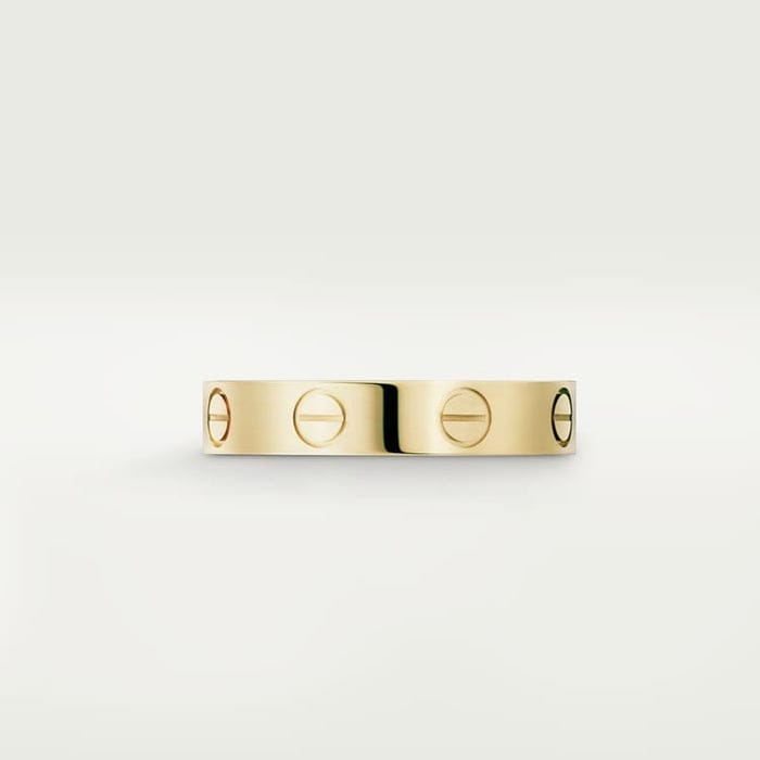Love Ring – Elegante Ring met Schroefmotief in Goudlook & Zilver