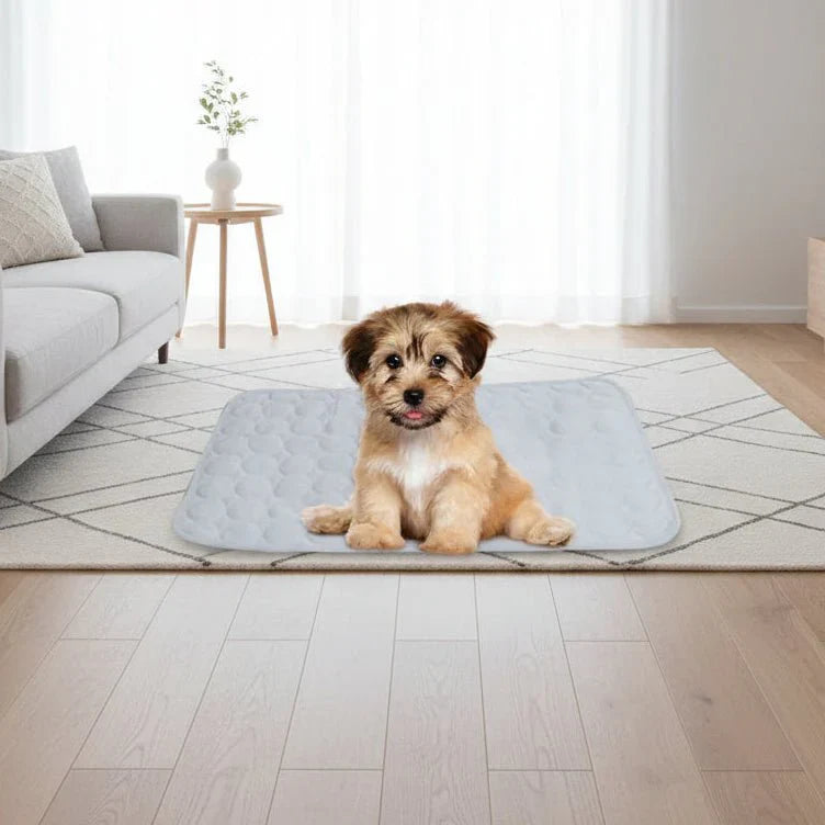 PAWCOT – Cooling Pet Cushion for Small Dogs & Cats Vestragear