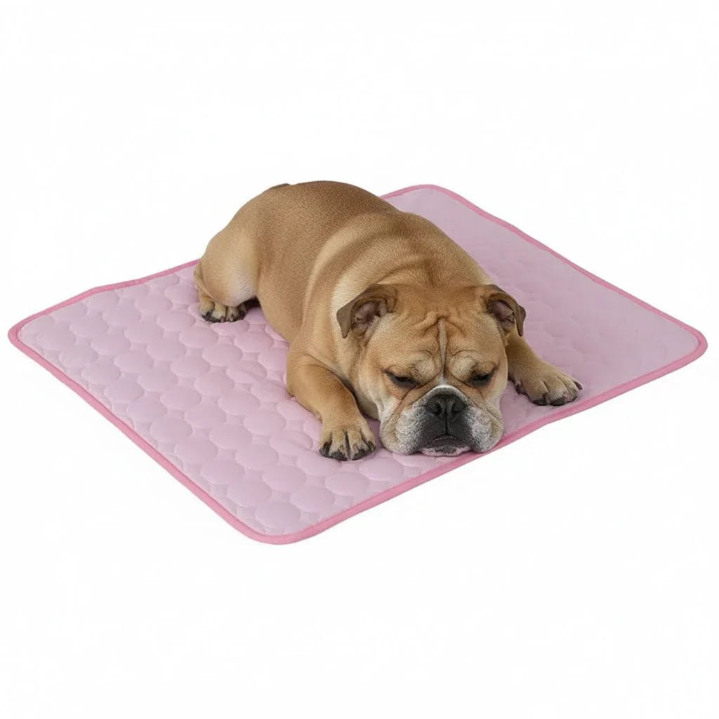 COOLPAW – Cooling Mat for Dogs and Cats Made of Breathable Ice Silk Vestragear