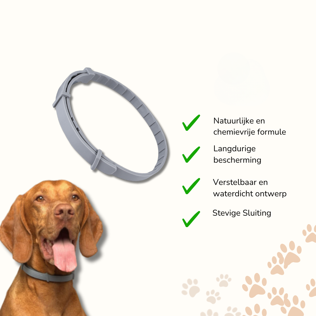 Tick collar for Dog & Cat – VitaPaw | Adjustable & Waterproof without Chemicals
