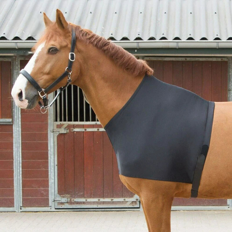 Equisoft – Pferdeschulterprotektor Spandex atmungsaktiv – Anti-Scheuer-Weste