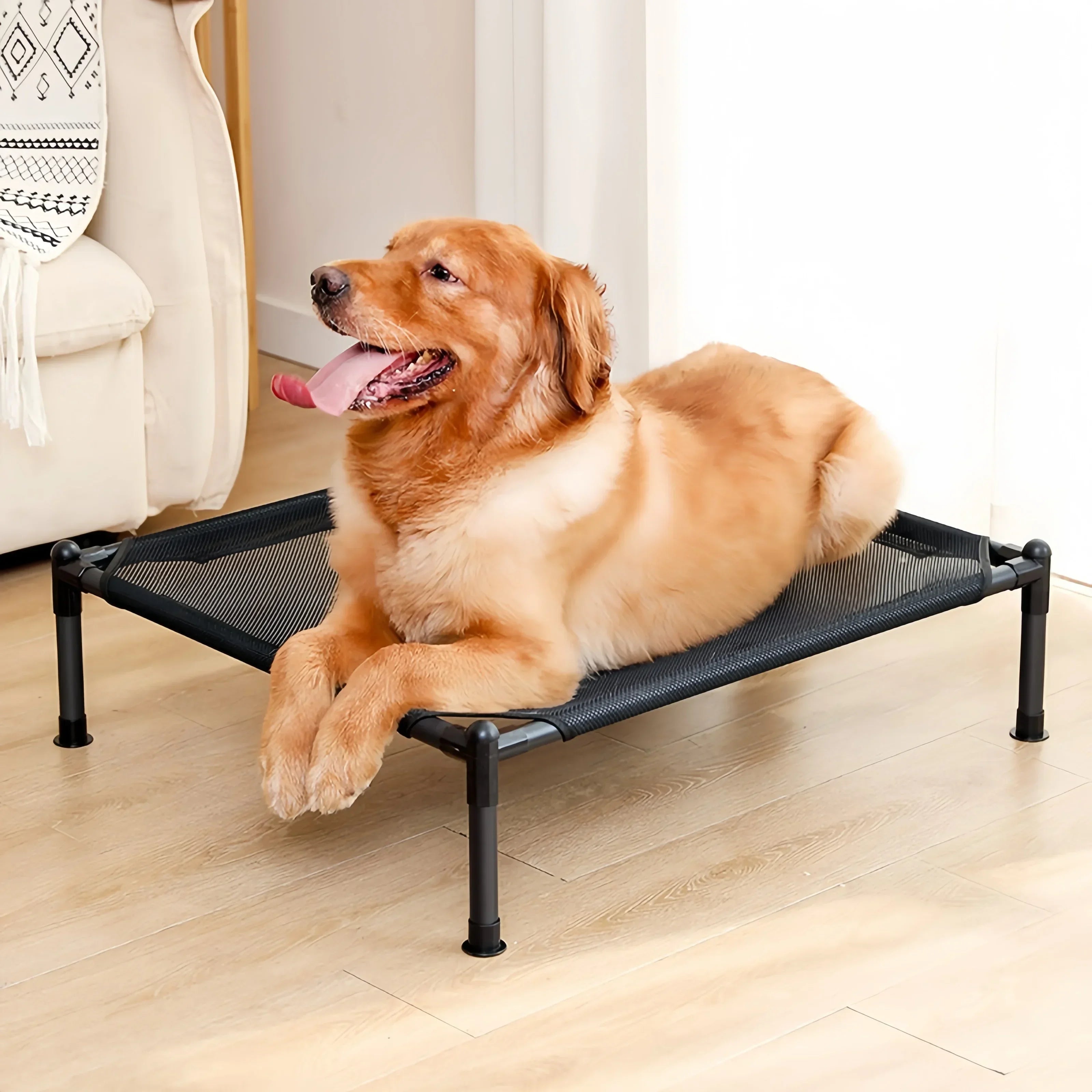 Cama Elevada Plegable para Mascotas – Cama Portátil para Gatos y Perros