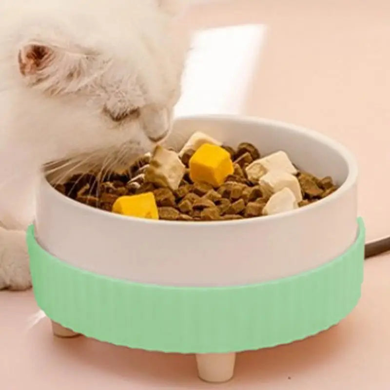 Verwarmde Kattenbak met Keramische Waterfontein voor Huisdieren, 30-35°C 4