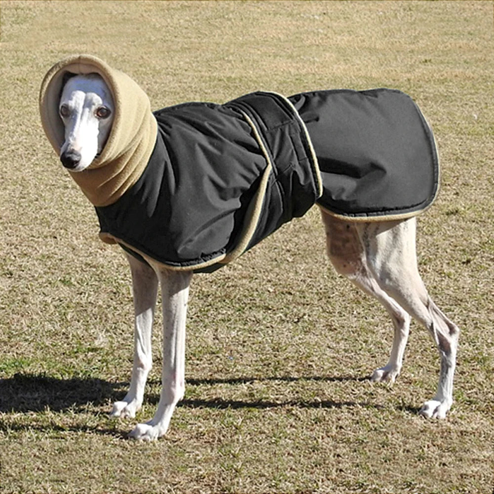 Waterdichte Hondenjas voor Middelgrote Honden - Warm en Comfortabel Hondenjasje voor de Winter 7