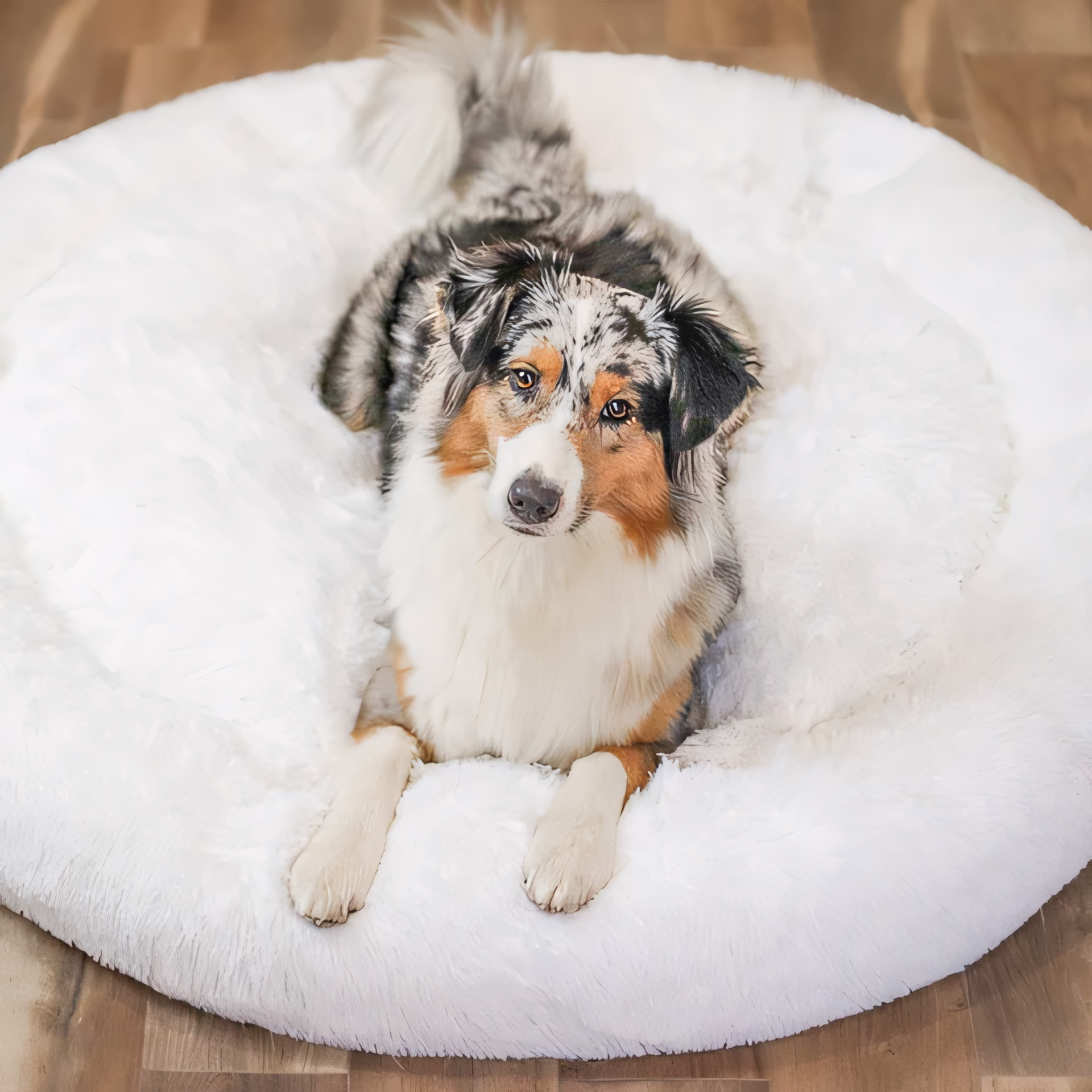 ComfyCove | Bequemes Hundebett für ultimativen Komfort und Geborgenheit