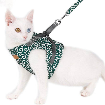 Pawver – Katten Harnas Set Ademend Gaas & Verstelbaar – Voor Buiten