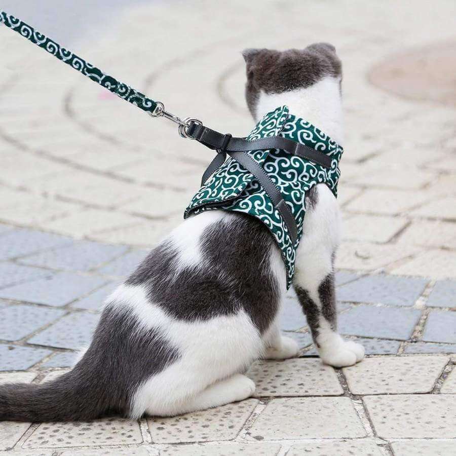 Pawver – Katten Harnas Set Ademend Gaas & Verstelbaar – Voor Buiten