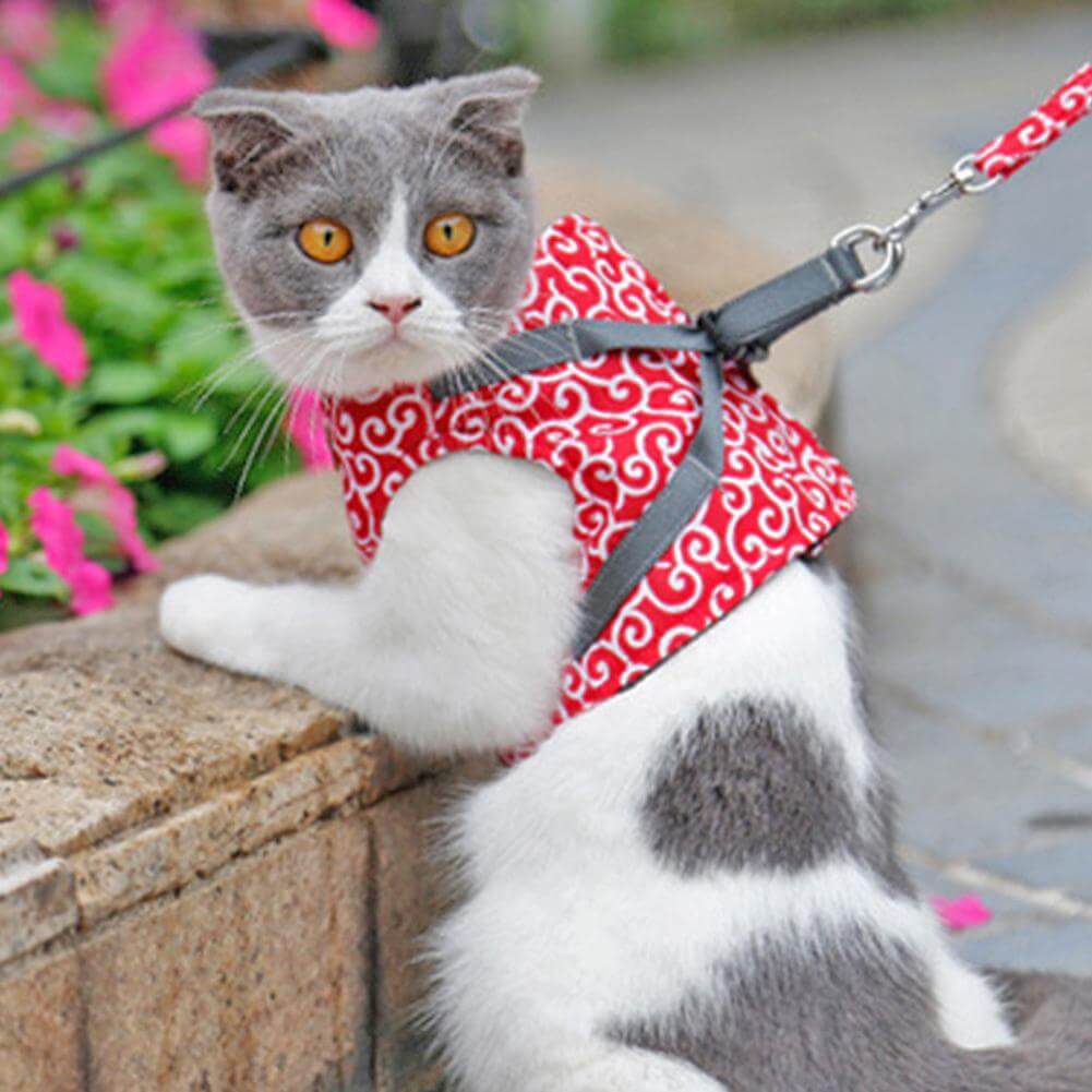 Pawver – Katten Harnas Set Ademend Gaas & Verstelbaar – Voor Buiten