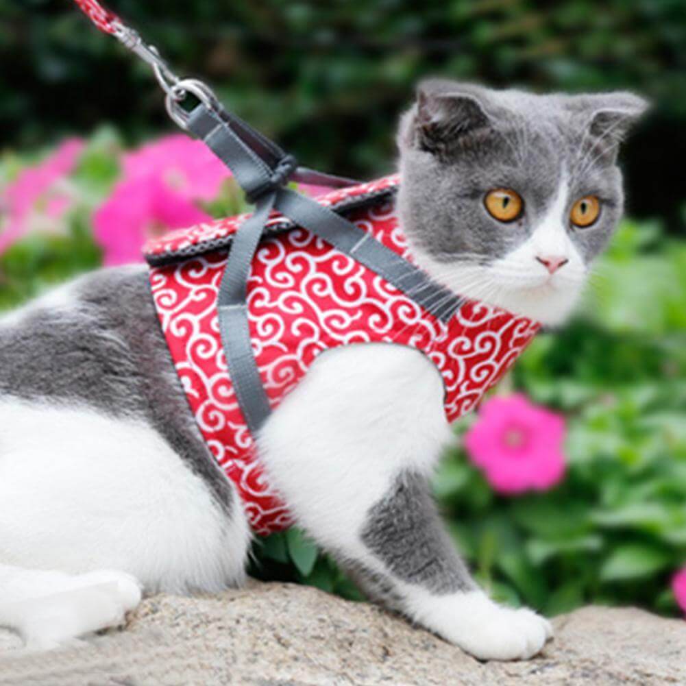 Pawver – Katten Harnas Set Ademend Gaas & Verstelbaar – Voor Buiten