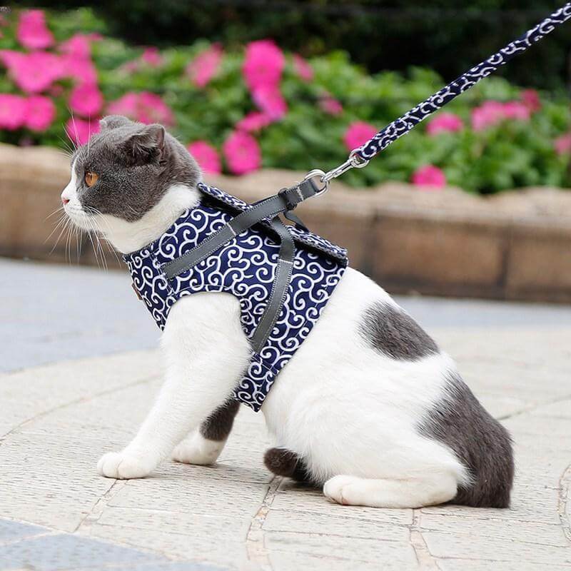 Pawver – Katten Harnas Set Ademend Gaas & Verstelbaar – Voor Buiten