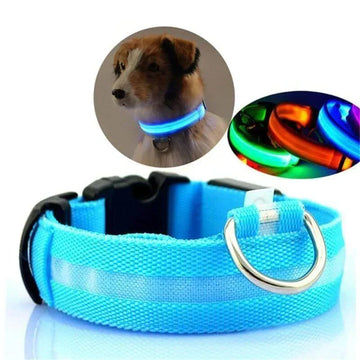 Revalki GlowPets | LED-Halsband