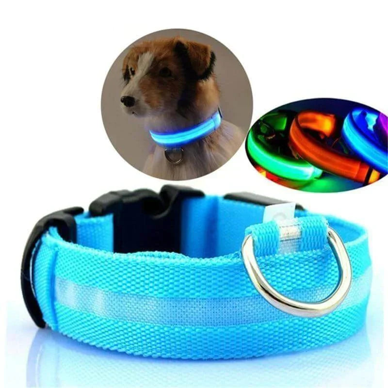 Revalki GlowPets | LED-Halsband