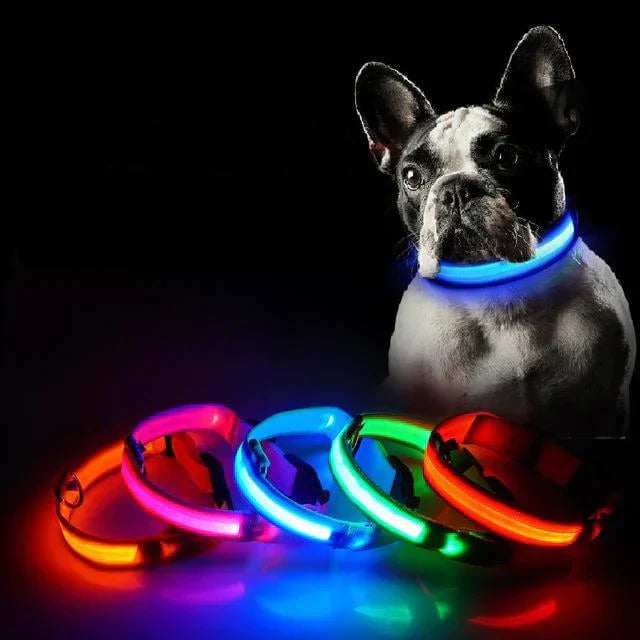Revalki GlowPets | LED-Halsband