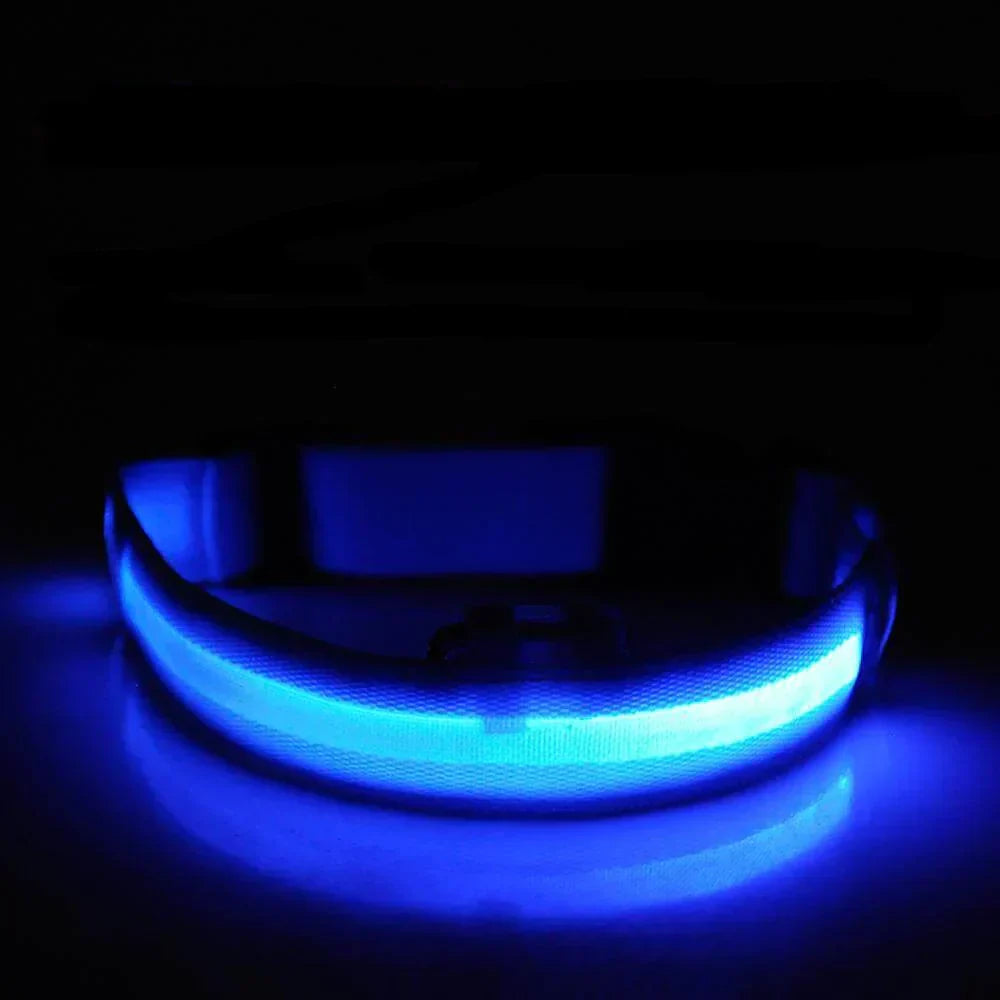 Revalki GlowPets | LED-Halsband
