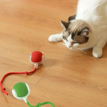 Felindo – pelota interactiva para gatos con movemento e cola – xoguete de interior