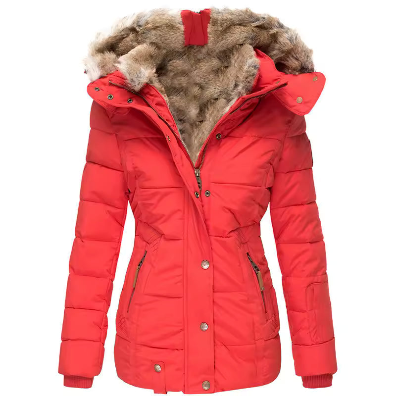 Damen Winterjacke – wattiertes Design mit Kapuze und weichem Kragenabschluss